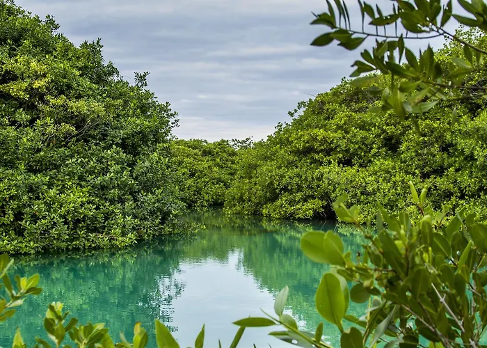 Cielo Maya Tulum